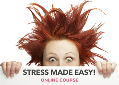 Online Bootcamp